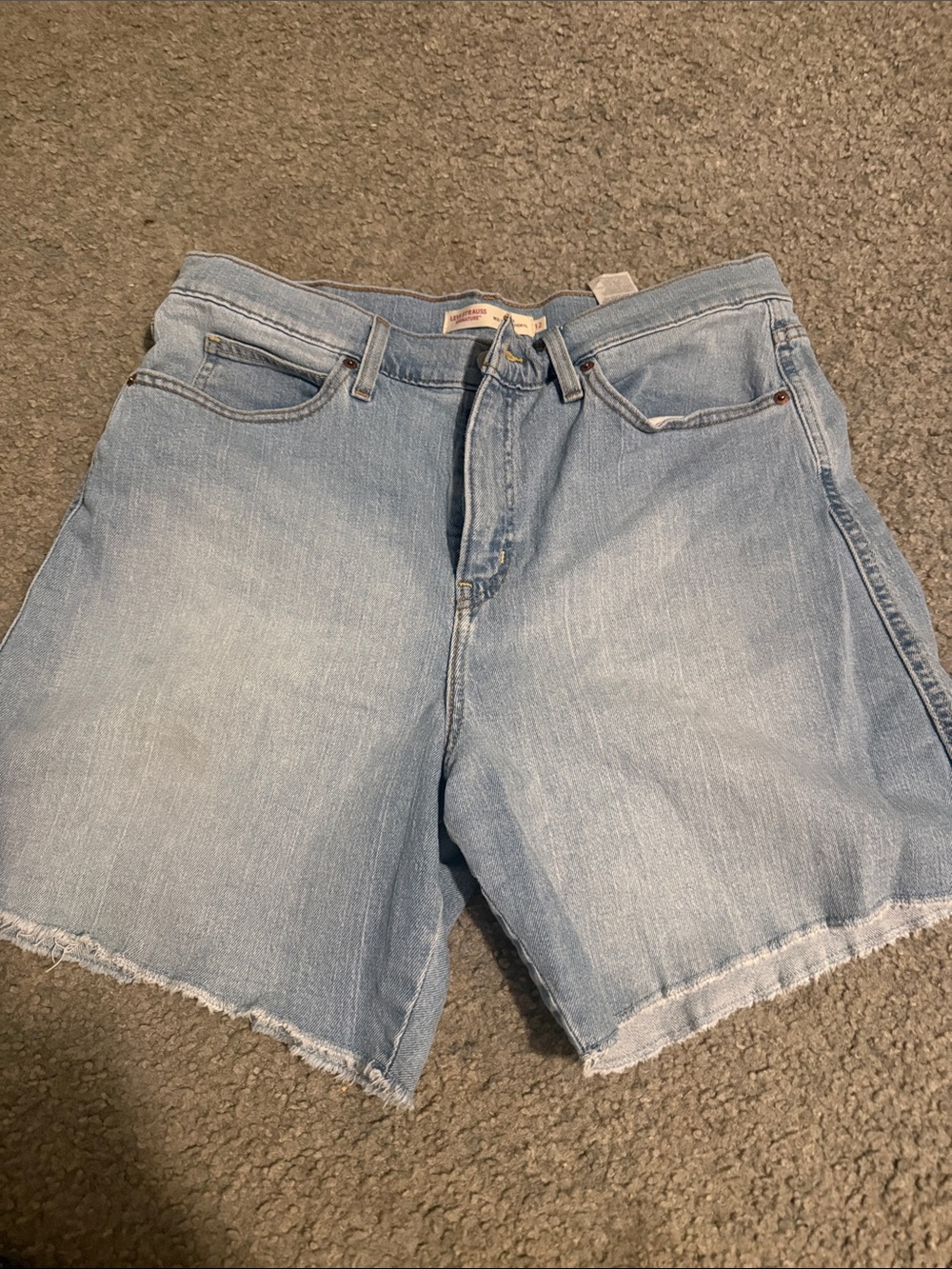 Light Blue Denim Frayed Hem Women's Shorts, Levi jorts
